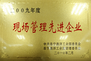 2009年度現(xiàn)場管理先進企業(yè)